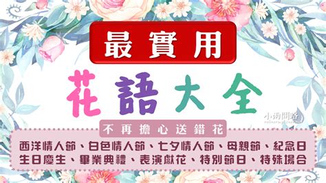 花語大全|花語大全：30 種浪漫花語，該送戀人/朋友/長輩哪種花？